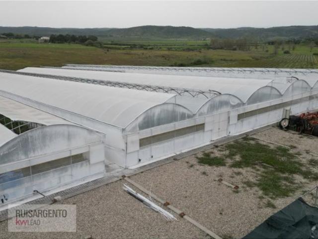 Terreno alugar em Castelo Branco, Idanha-a-nova