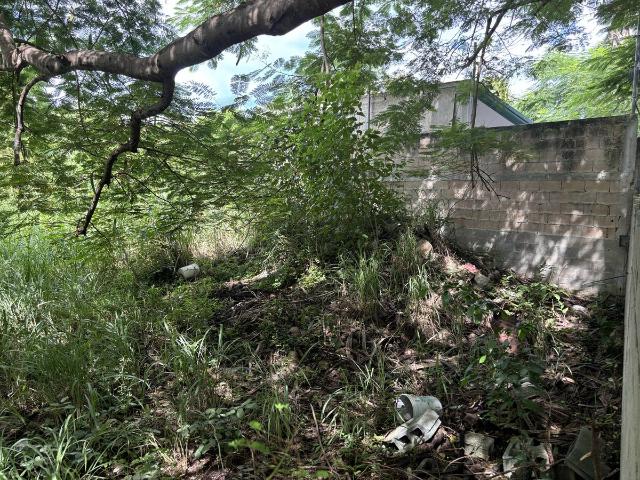 Terreno en renta en Pantepec, Yucatán