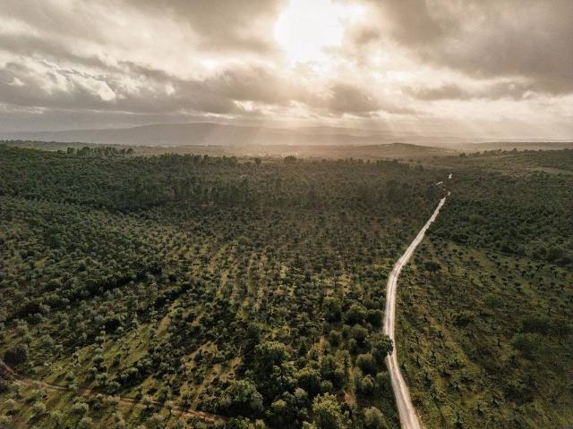 Terreno venda em Borba, Évora