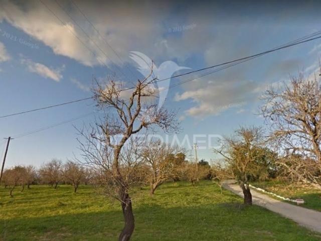 Terreno venda em Albufeira e Olhos de Água, Albufeira