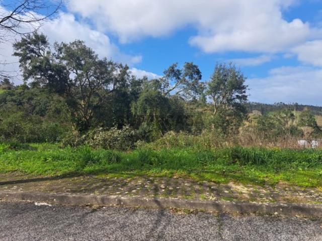 Terreno venda em Leiria