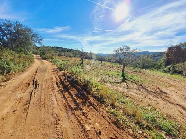 Terreno venda em São Brás De Alportel, Faro