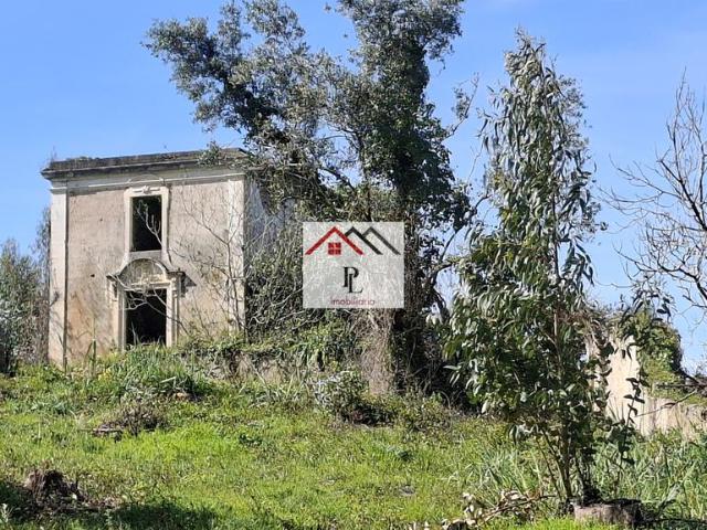 Terreno venda em Coimbrã, Coimbra