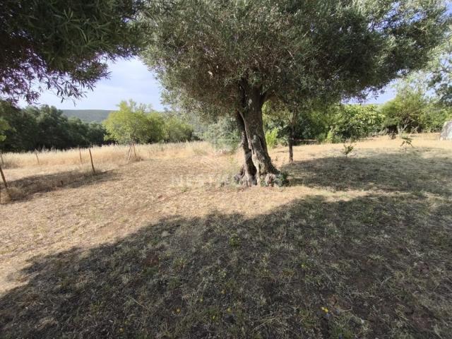 Terreno venda em Loulé, Faro