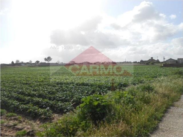 Terreno venda em Baixa do Montijo, Montijo