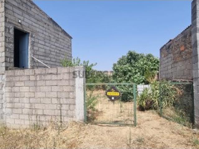 Terreno venda em Castelo Branco