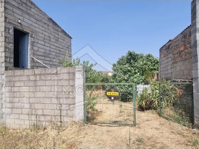 Terreno venda em Castelo Branco