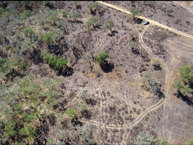 Terreno venda em Santiago Do Cacém, Setúbal