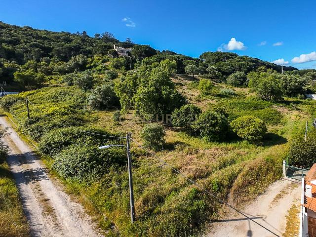 Terreno venda em Palmela, Setúbal