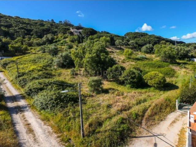 Terreno venda em Palmela, Setúbal