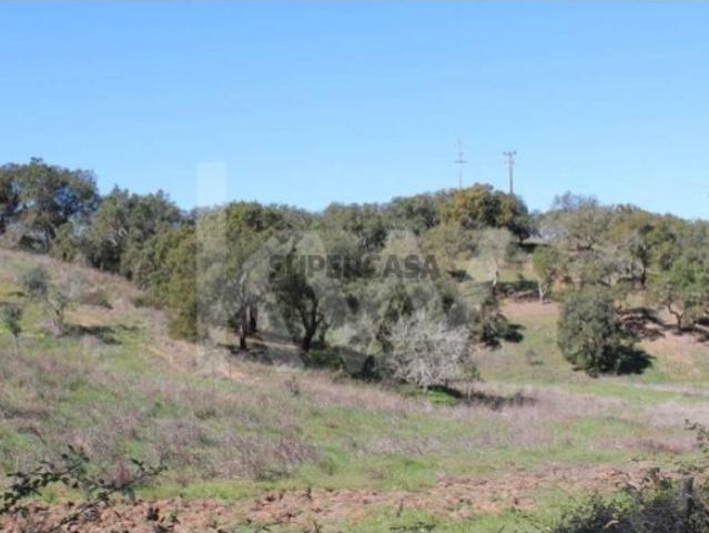 Terreno venda em Grândola, Setúbal