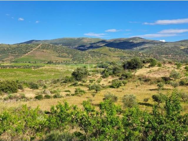 Terreno venda em Torre De Moncorvo, Bragança