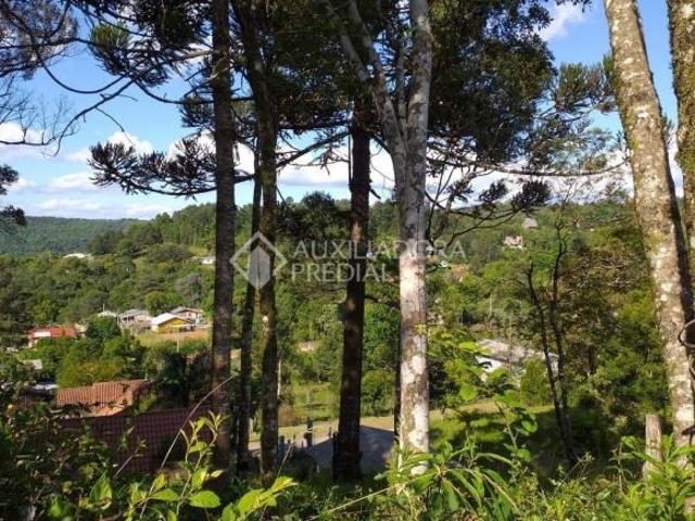 Terreno venda em Região Geográfica Imediata de Caxias do Sul, Gramado