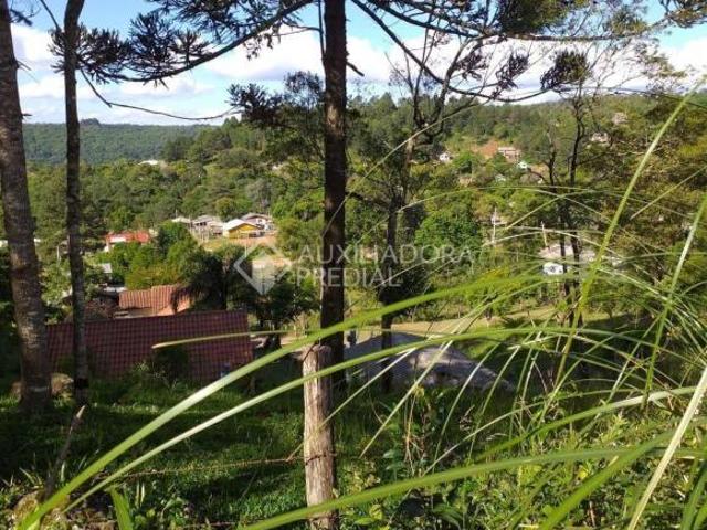 Terreno venda em Região Geográfica Imediata de Caxias do Sul, Gramado