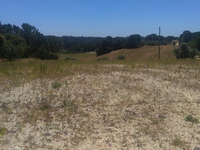 Terreno venda em Madalena e Beselga, Tomar