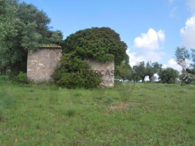 Terreno venda em Torres Novas, Santarém
