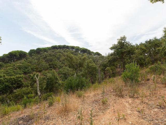 Terreno venda em Santiago Do Cacém, Setúbal