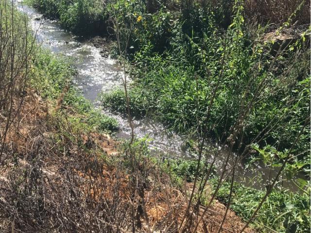Terreno venda em Estremoz, Évora