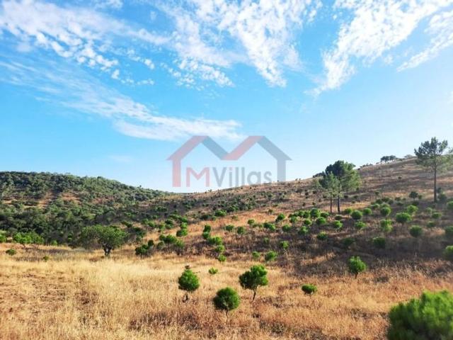 Terreno venda em Loulé, Faro