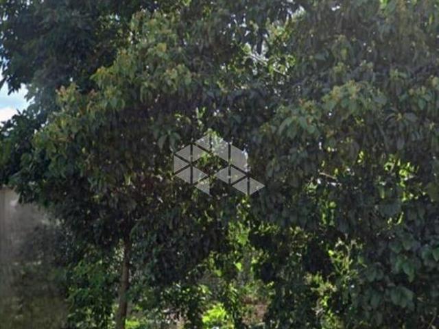 Terreno venda em Região Geográfica Imediata de Bento Gonçalves, Bento Gonçalves