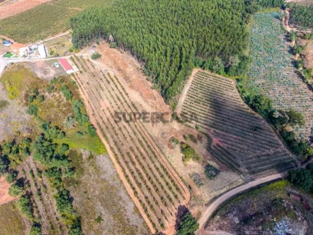 Terreno venda em Lamas e Cercal, Cadaval