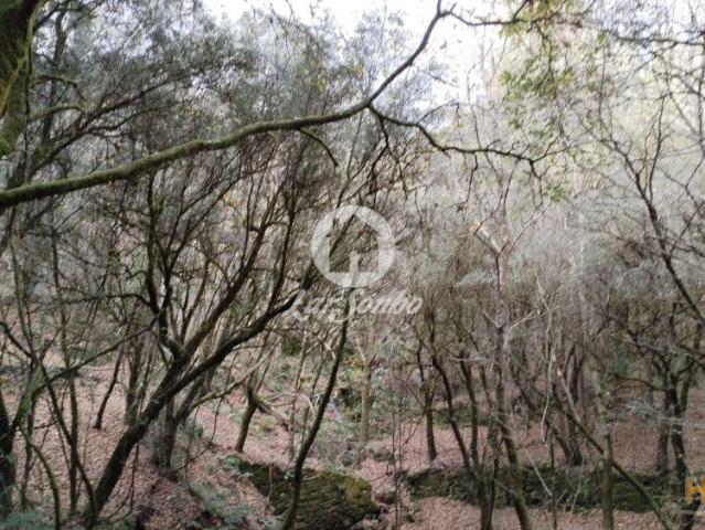 Terreno venda em Covas, Braga