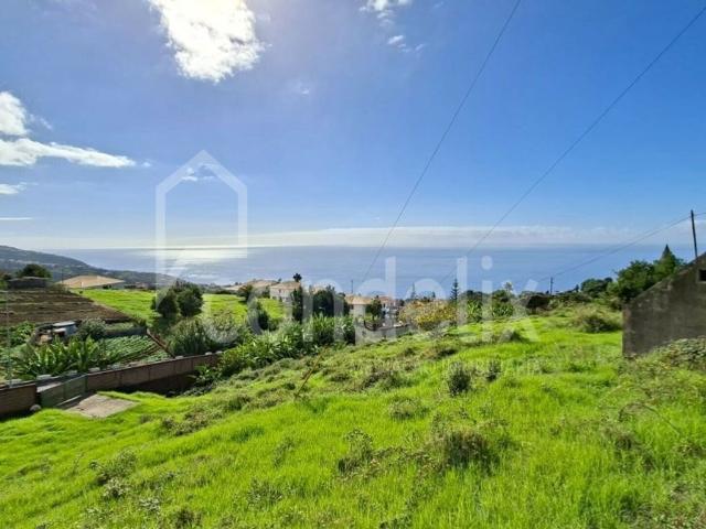 Terreno venda em Lombo da Igreja, Estreito Da Calheta