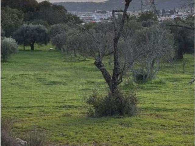 Terreno venda em São Brás De Alportel, Faro