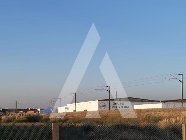 Terreno venda em Ílhavo, Aveiro