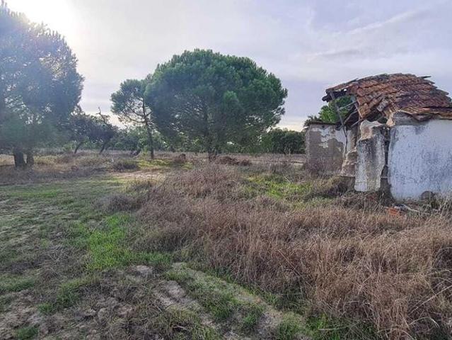Terreno venda em Água Derramada, Grândola