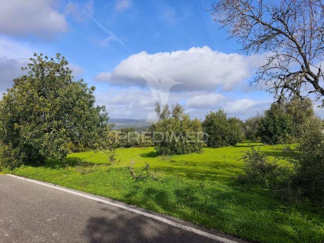 Terreno venda em Albufeira e Olhos de Água, Albufeira
