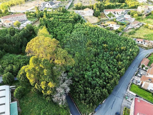 Terreno venda em Santa Maria Da Feira, Aveiro