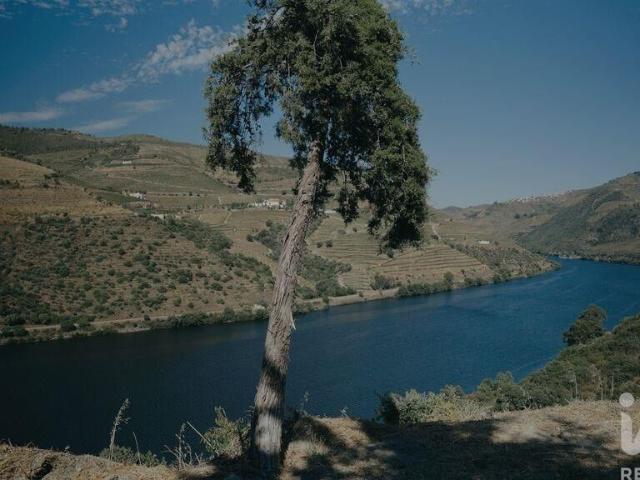 Terreno venda em Adorigo, Tabuaço