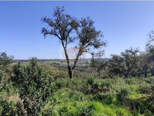 Terreno venda em Santiago Do Cacém, Setúbal