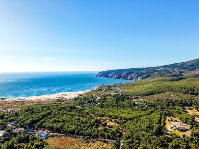 Terreno venda em Cascais, Lisboa