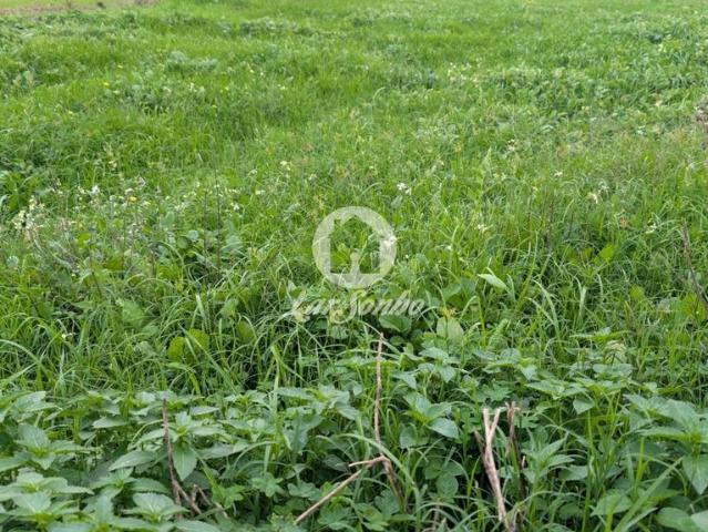 Terreno venda em Vila Do Conde, Porto