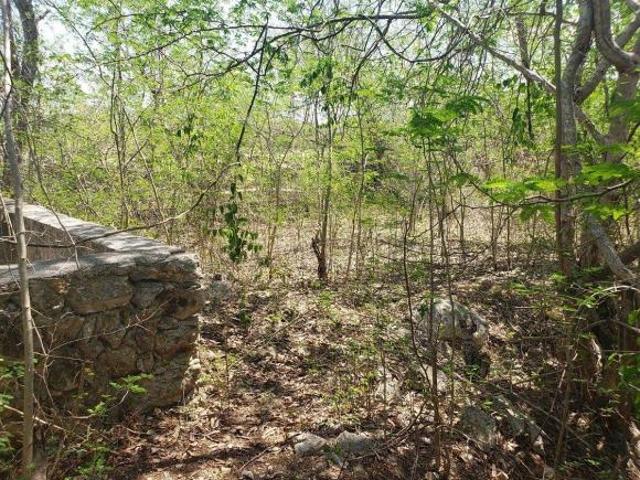 Terreno en venta en Motul de Carrillo Puerto, Motul