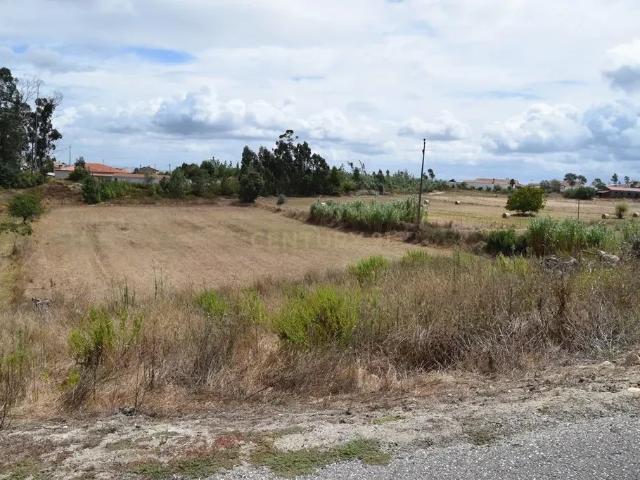 Terreno venda em Montemor-o-Velho e Gatões, Montemor-o-velho
