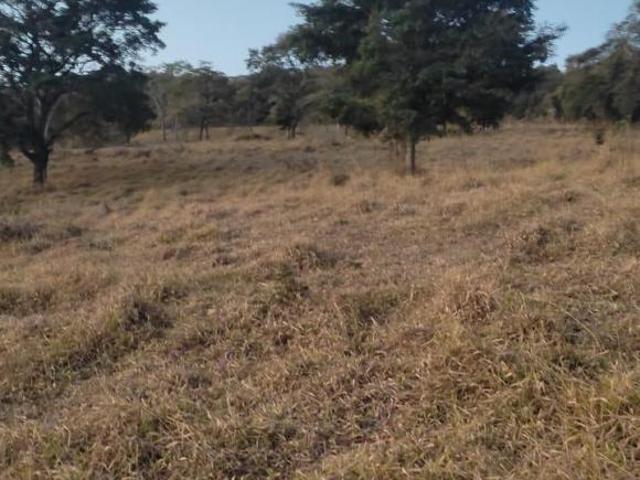 Terreno venda em Região Geográfica Imediata de Oliveira, Piracema