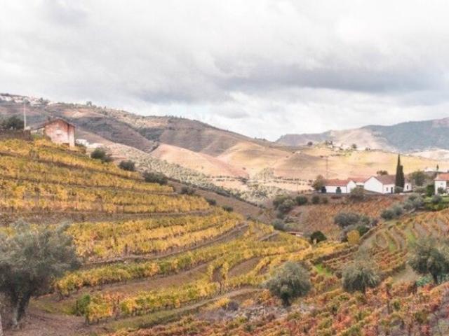 Terreno venda em Nagoselo Do Douro, Viseu