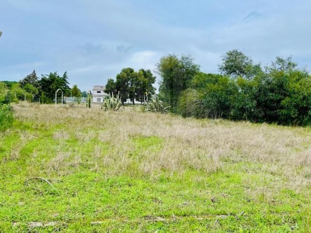 Terreno venda em Seixal, Fernão Ferro
