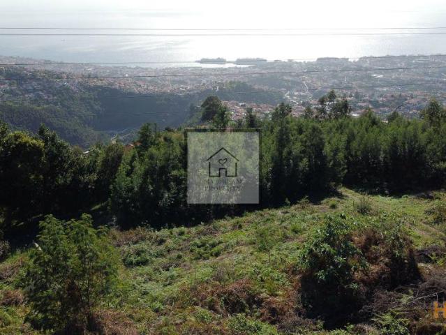 Terreno venda em Funchal, Ilha Da Madeira