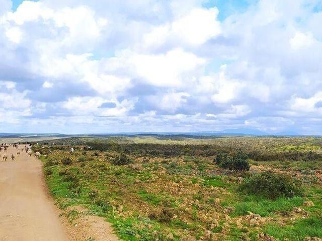 Terreno venda em Vila Do Bispo, Faro