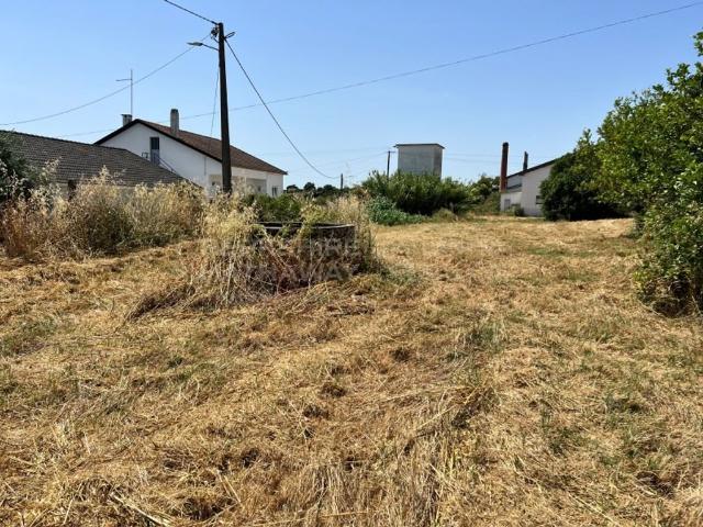 Terreno venda em Santarém