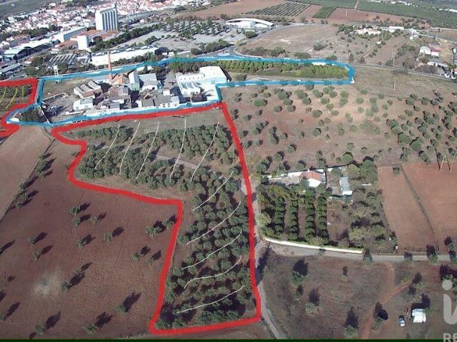 Terreno venda em Mourã, Beja