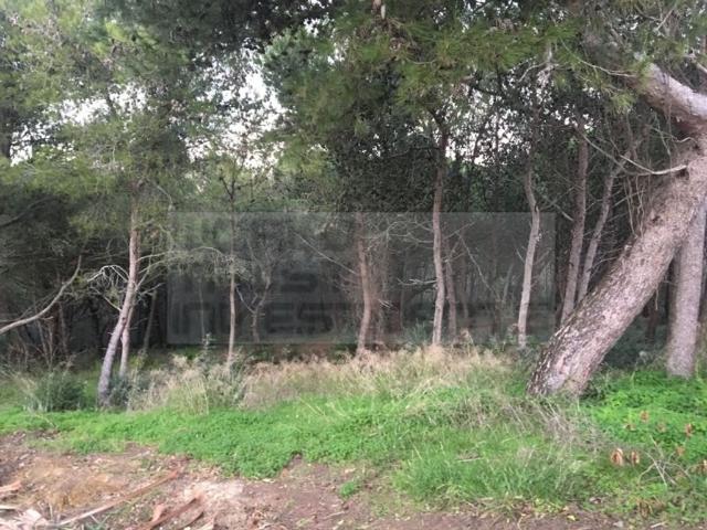 Terreno venda em Visconde da Luz, Cascais