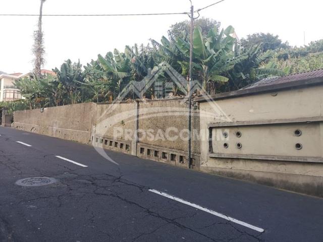 Terreno venda em Funchal, Ilha Da Madeira