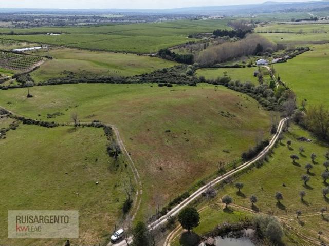 Terreno venda em Castelo Branco, Idanha-a-nova
