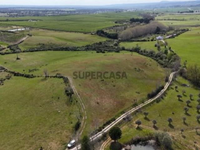 Terreno venda em Castelo Branco, Idanha-a-nova