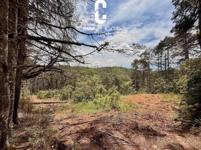 Terreno venda em Região Imediata de Taubaté-Pindamonhangaba, Região Metropolitana do Vale do Paraíba e Litoral Norte